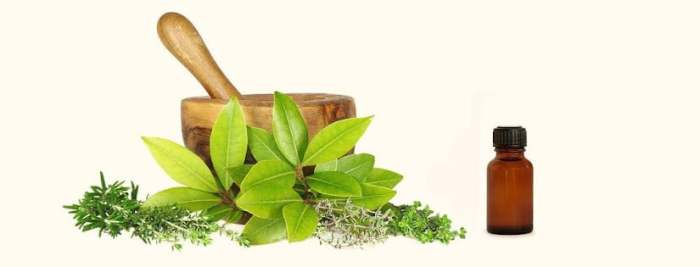 Herbal shop herbs health concerns turn